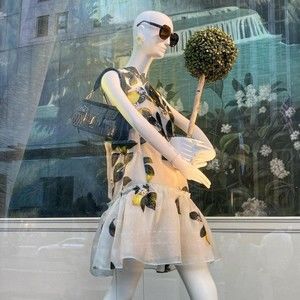 Meet your Posher, Carrie